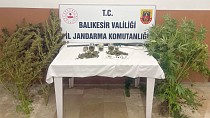 JANDARMA’DAN 9 İLÇE’DE NARKOTİK OPERASYONLARI!