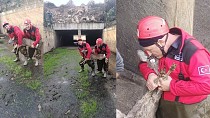 BALIKESİR MANYAS’TA SULAMA KANALINA DÜŞEN YAVRU KARACA’YI İTFAİYECİLER KURTARDI / 19.12.2022 PAZARTESİ