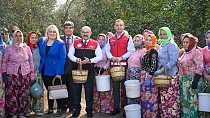 AKIN, ALTINOVA MAHALLESİ’NDE GERÇEKLEŞTİRİLEN ZEYTİN HASADINA KATILDI
