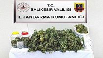 JANDARMA’DAN 5 İLÇE’DE UYUŞTURUCU OPERASYONLARI!