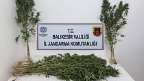 BALIKESİR İL JANDARMA KOMUTANLIĞI EKİPLERİMİZ’DEN 8 İLÇE’DE NARKOTİK OPERASYONLARI! - haberi