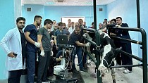 BALIKESİR ÜNİVERSİTESİ VETERİNER FAKÜLTESİ VE HAYVAN HASTANESİ BÖLGENİN ŞİFA MERKEZİ OLDU