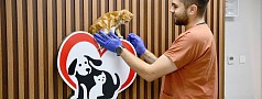 BALIKESİR’DE CAN DOSTLAR BÜYÜKŞEHİR ELİYLE GÜVENDE