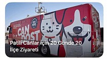 BİNLERCE CAN DOST YUVALARINA KAVUŞTU