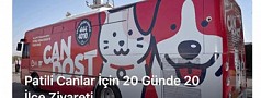 BİNLERCE CAN DOST YUVALARINA KAVUŞTU