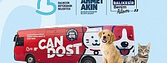Can Dost Yerinde Hayvan Bakım ve Tedavi Aracı’nın Nisan-Mayıs programı belli oldu