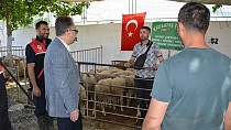 KAYMAKAM ODABAŞ, KURBAN PAZARINDA DENETİMLERDE BULUNDU
