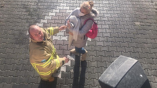 korfez star gazetesi