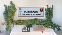 JANDARMA EKİPLERİMİZ’DEN 4 İLÇE’DE NARKOTİK OPERASYONLARI - haberi