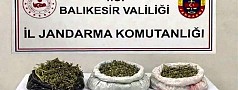 JANDARMA’DAN 13 İLÇE’DE UYUŞTURUCU MADDE OPERASYONLARI!
