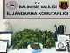 JANDARMA’DAN BALIKESİR’DE UYUŞTURUCUYA GEÇİT YOK
