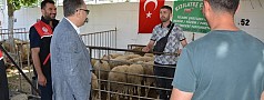 KAYMAKAM ODABAŞ, KURBAN PAZARINDA DENETİMLERDE BULUNDU