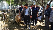 KAYMAKAM ODABAŞ BAYRAM ÖNCESİ HAYVAN PAZARINI ZİYARET ETTİ - haberi