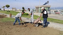 BURHANİYE’DE YEŞİL ALANLAR YENİLENİYOR