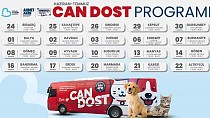 SOKAKTAKİ CANLAR BÜYÜKŞEHİR’E EMANET