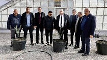 BAŞKAN ERTAŞ, GEÇTİĞİMİZ GÜNLERDE TESCİLLENEN YENİ ZEYTİN ÇEŞİDİ 'KÖRFEZ 10' HAKKINDA BİLGİ ALDI - haberi