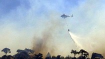Havran'daki orman yangını kontrol altına alındı  - haberi