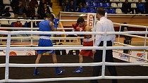 Türkiye Büyük Erkekler Ferdi Boks Şampiyonası devam ediyor  - haberi