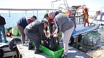 Vurgun yiyen deniz patlıcanı avcısı hayatını kaybetti  - haberi